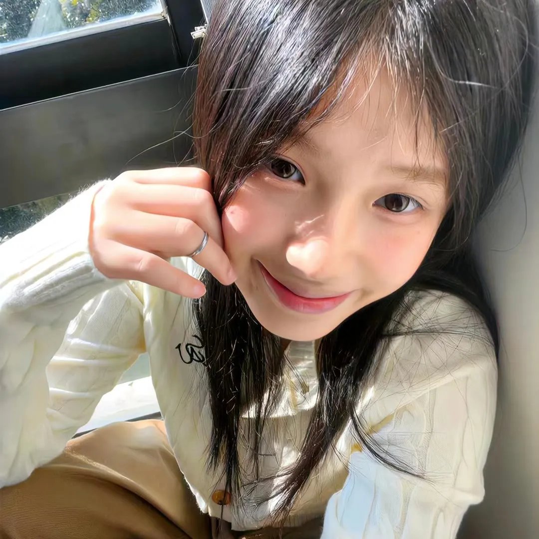 安妮日记：始末